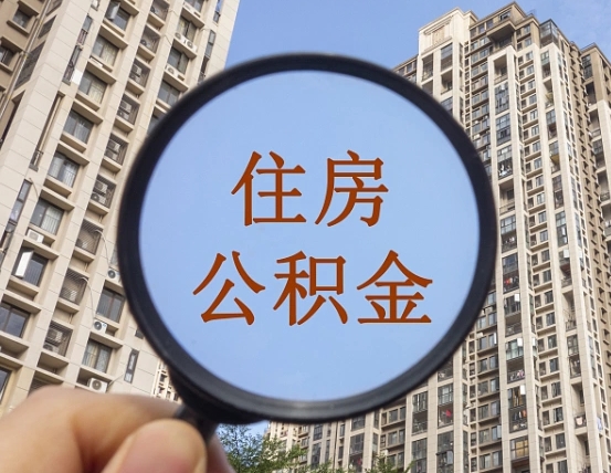 莘县被单位开除多久可以取公积金（被开除后多久能取公积金）